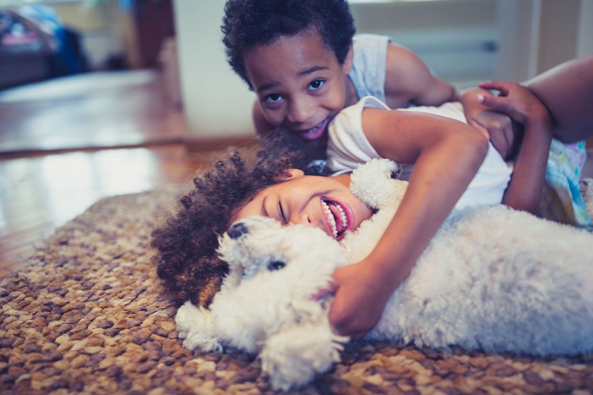 The Human-Animal Bond: How Owning a Pet Can Help Your Child’s Bond with Others