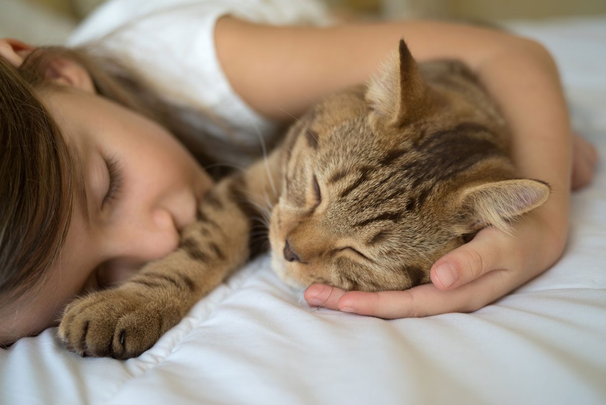 The Human-Animal Bond: How Owning a Pet Can Help Your Child’s Bond with Others