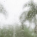 Weathering the Storm: How You Can Ease Your Storm-Related Anxiety Tampa Psychologist