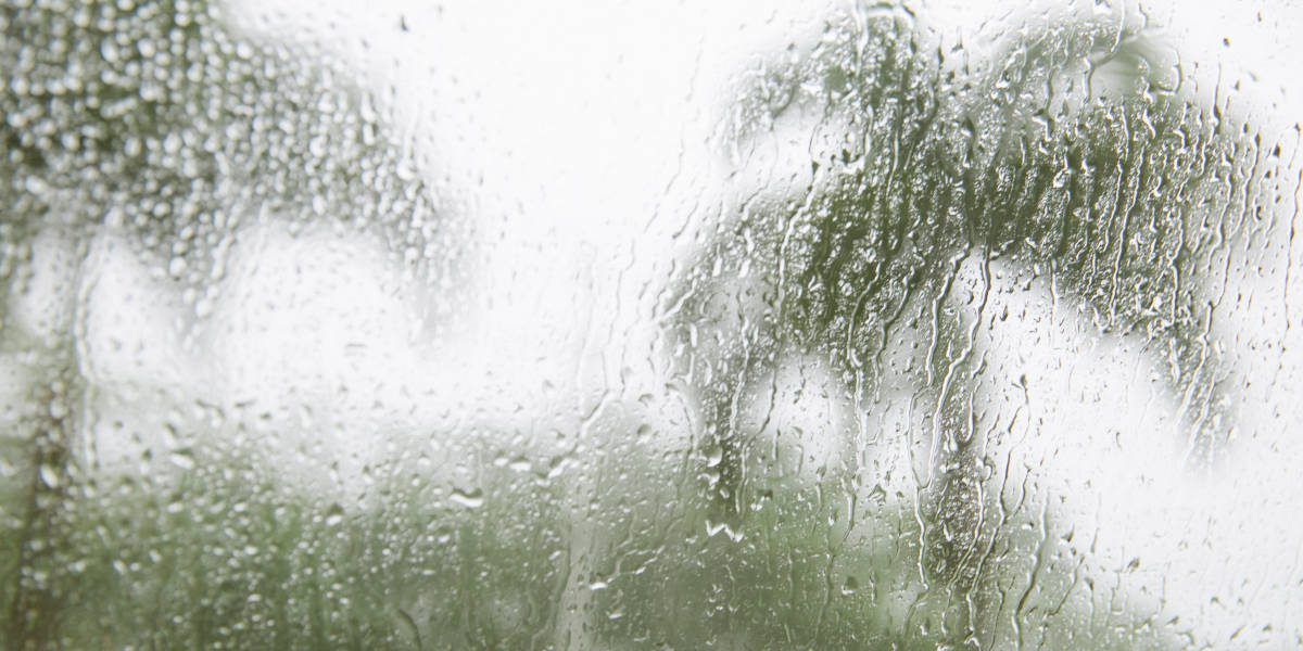 Weathering the Storm: How You Can Ease Your Storm-Related Anxiety