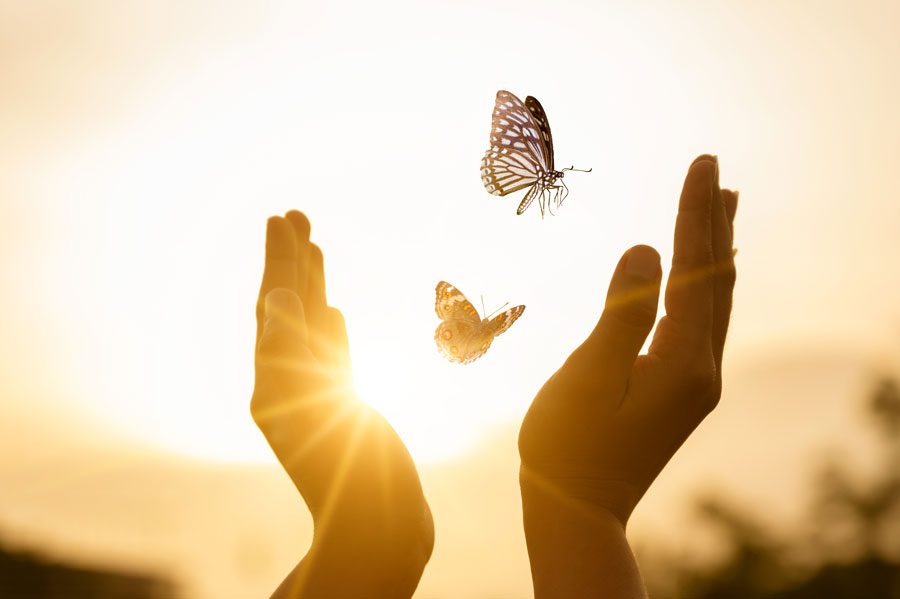 How Therapy Can Help You Navigate Major Life Transitions 1 How Therapy Can Help You Navigate Major Life Transitions